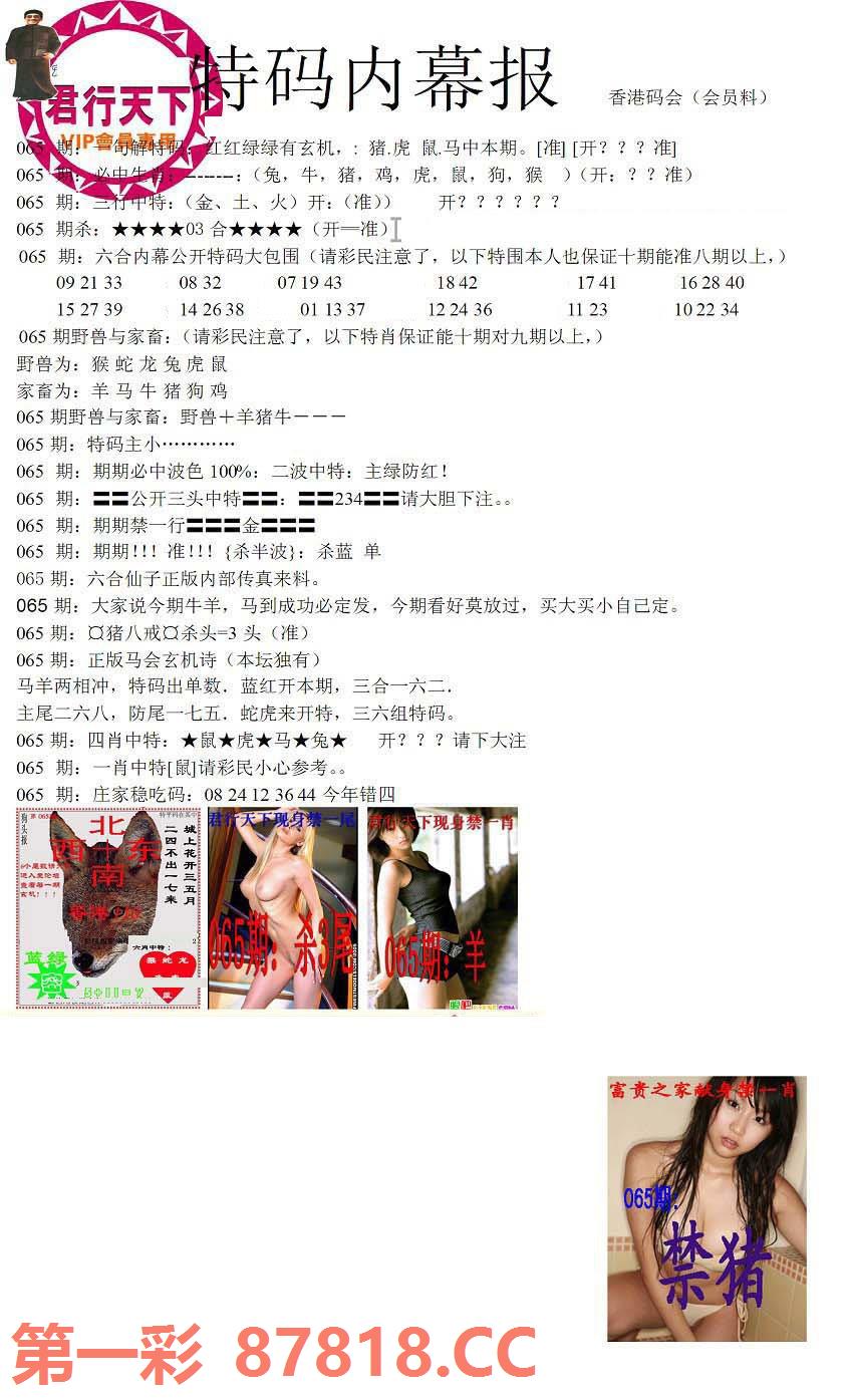 图片载入中...
